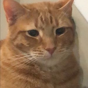 Meet your Posher, Kathleen